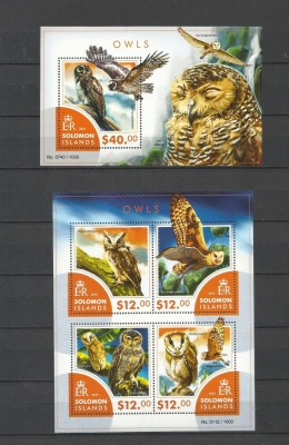 SOLOMON ISLANDS 2015 PASARI DE PRADA BUFNITE foto