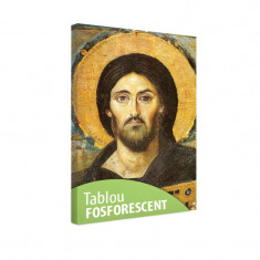Tablou fosforescent Iisus cu biblia 20x30 cm foto