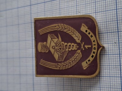 insigna specialist de clasa intendenta foto