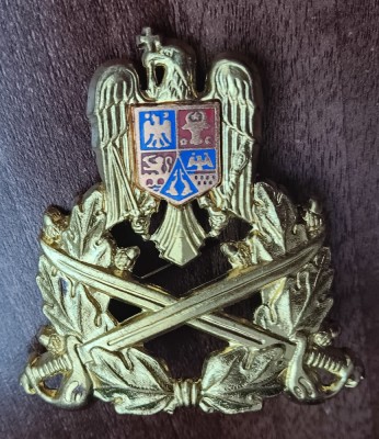 QW14 - Emblema militara / cuc - Uscat - piesa de colectie foto