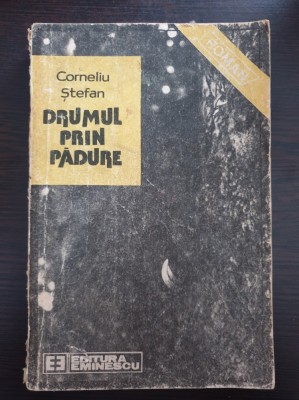 DRUMUL PRIN PADURE - Corneliu Stefan foto
