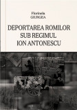 Deportarea romilor sub regimul Antonescu, Cetatea de Scaun