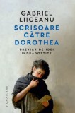 Cumpara ieftin Scrisoare catre Dorothea. Breviar de idei indragostite/Gabriel Liiceanu, Humanitas