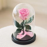 Cumpara ieftin Trandafir Criogenat roz xl &Oslash;6,5cm in cupola 10x20cm