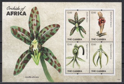 Gambia 2011 - Orhidee din Africa, Colita + Bloc, 4 poze, MNH foto