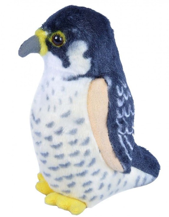 Pasare cu sunet Soim Calator - PEREGRINE FALCON