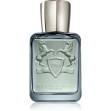Parfums De Marly Castley Eau de Parfum pentru bărbați 75 ml