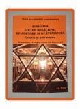 Sinagoga, Loc de Rugaciune, Adunare si Invatatura - Tesu Solomovici. Carte Iudaism