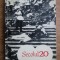 Secolul 20 nr. 10 / 1965