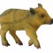 Porc mistret mergand - Collecta