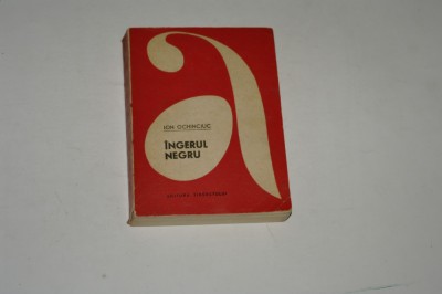 Ingerul negru - Ion Ochinciuc foto