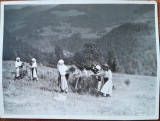 Fotografie, taranci la munca campului, Romania, perioada interbelica