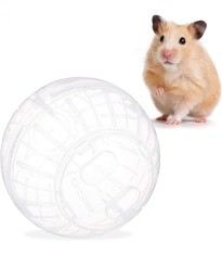 Minge hamster transparenta foto