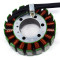 Stator Alternator Yamaha YZF R6 an 1999-2002