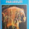 Fecioarele Parisului &ndash; Marcel Prevost