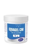 Gel antiinflamator de uz extern, Egvagel, Pasteur, 900 g