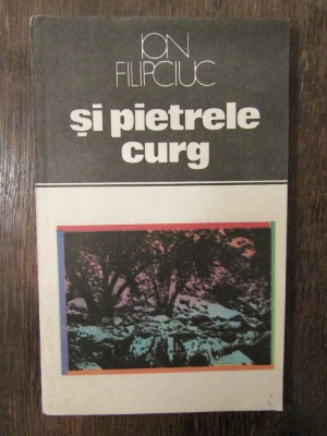 Și pietrele curg - Ion Filipciuc foto