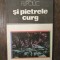 Și pietrele curg - Ion Filipciuc
