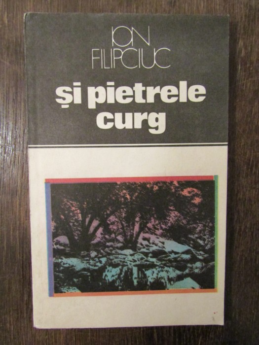 Și pietrele curg - Ion Filipciuc