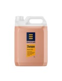 Sampon auto spumare intensa Ewocar Shampoo, pH neutru 5L