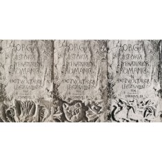 Istoria literaturilor romanice in dezvoltarea si legaturile lor (Vol. 1 + 2 + 3) &ndash; Nicolae Iorga