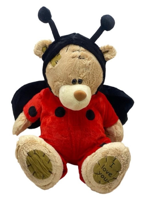 Ursulet de Plus in Costum de Buburuza