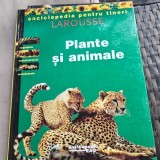 Enciclopedie Larousse Plante si Animale pentru Tineri Coperta Cartonata Editura Rao 1996