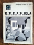 Buciumi, un sat din Tara de sub Munte / R3P5F