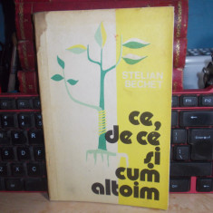 STELIAN BECHET - CE , DE CE SI CUM ALTOIM , 1980