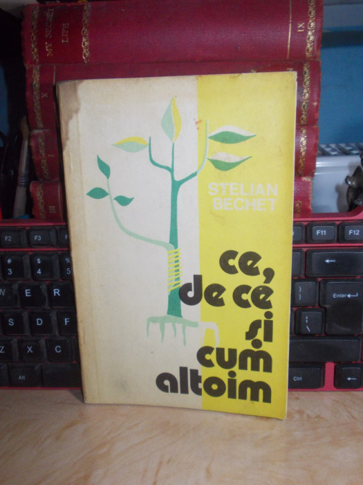 STELIAN BECHET - CE , DE CE SI CUM ALTOIM , 1980