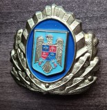 QW14 - Emblema militara - anii 1990 - servicii - piesa de colectie