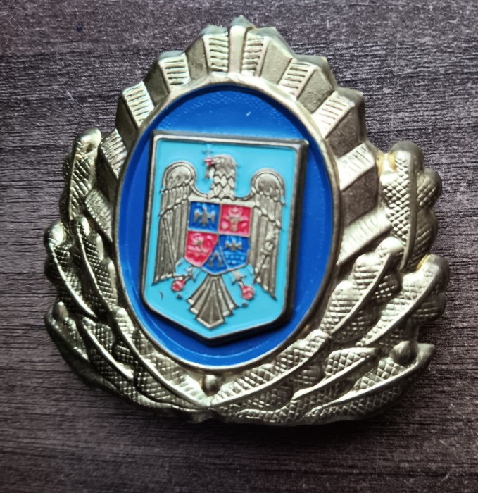 QW14 - Emblema militara - anii 1990 - servicii - piesa de colectie