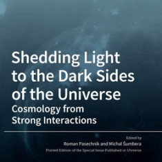 Shedding Light to the Dark Sides of the Universe: Cosmology from Strong Interactions