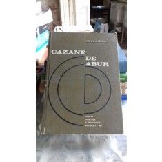 CAZANE DE ABUR - NICOLAE A. PANOIU