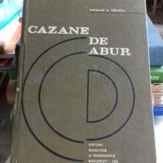 CAZANE DE ABUR - NICOLAE A. PANOIU