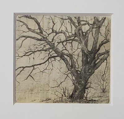 Mircea Olarian (1898-1985) - Copac desfrunzit foto