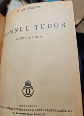 DOMNUL TUDOR - C. ARDELEANU foto