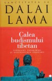 Calea budismului tibetan - 2013 - Dalai Lama (xx115), Curtea Veche