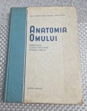 Antomia omul angeiologie glande endocrine sistemul nervos Z. Iagnov