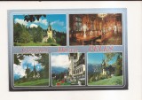 RF121 - Carte Postala - Castelul Muzeu Peles, necirculata