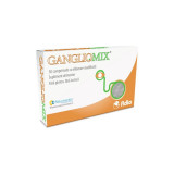 GanglioMix, 30 comprimate, Fidia, Fidia Farmaceutici