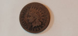 S.U A.- 1 cent 1883 ( cap de indian), America de Nord, Bronz