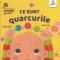 Ce Sunt Quarcurile, Ruth Spiro - Editura Gama