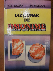 Dictionar de omonime foto