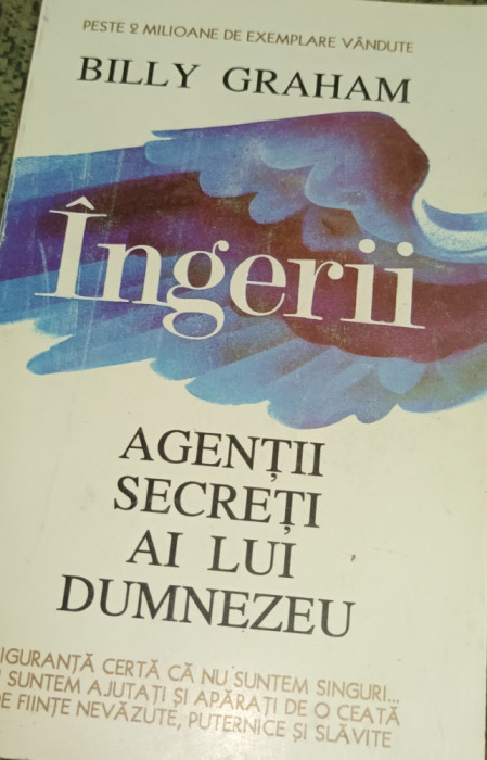 INGERII AGENTII SECRETI AI LUI DUMNEZEU