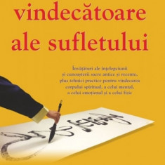 Miracole vindectoare ale sufletului - dr zhi gang sha carte