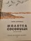 Foto  - 2