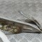 Balama capota dreapta față PORSCHE CAYENNE 9PA 2004 OEM: 7L5823302,7L5.823.302 28931596