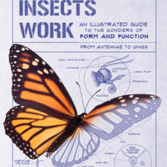 How Insects Work: An Illustrated Guide to the Wonders of Form and Function--From Antenna to Wings