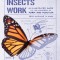 How Insects Work: An Illustrated Guide to the Wonders of Form and Function--From Antenna to Wings